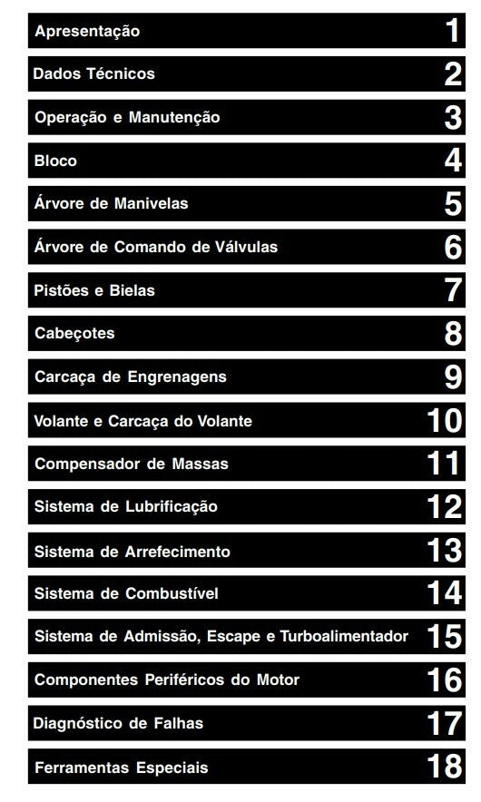 manual de oficina serviço motor MWM 229 + CATALOGO