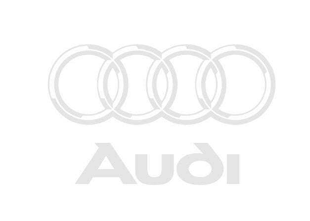 Manual de Serviço AUDI TT MK2 SM 2006 2014 ingles