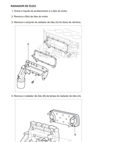 Manual oficina motor D4CB crdi 2.5 16v hyundai hr kia crdi