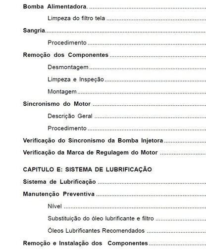 MANUAL DE SERVIÇO MOTOR Maxion - Manual 1006 E 1006T