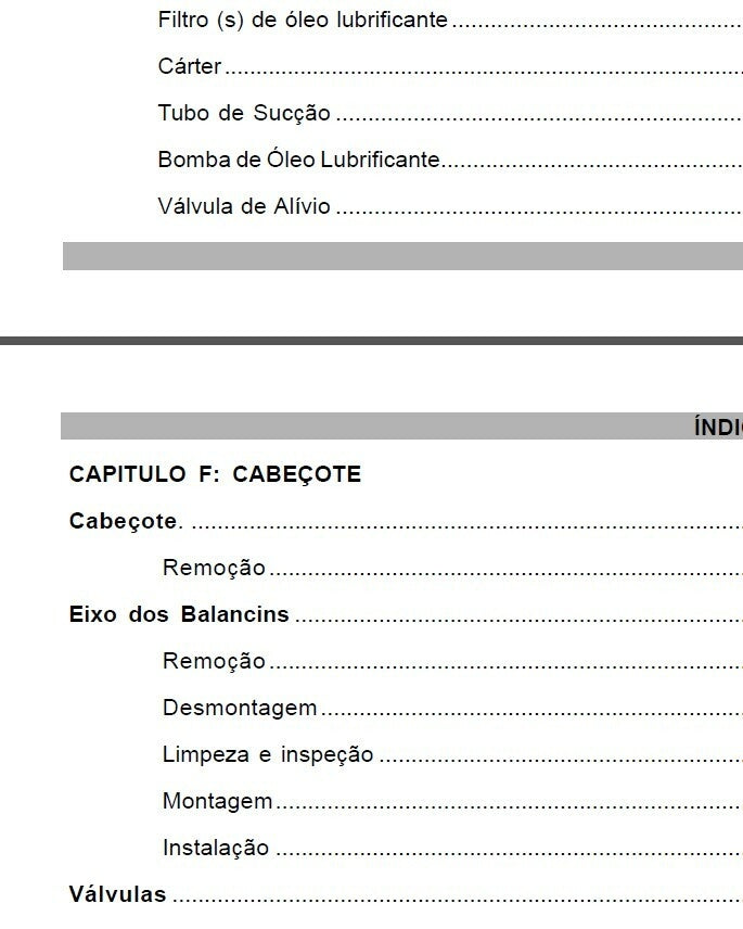 MANUAL DE SERVIÇO MOTOR Maxion - Manual 1006 E 1006T