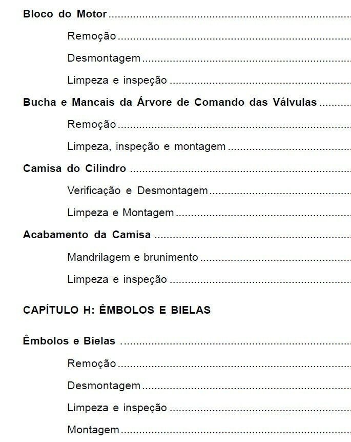 MANUAL DE SERVIÇO MOTOR Maxion - Manual 1006 E 1006T