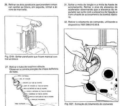 Manual Servico Agrale Motor M790 portugues