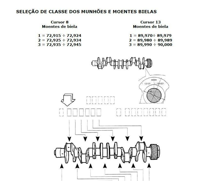 Manual de reparação oficina motor CURSOR 8 6.2 ui